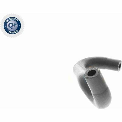 Q+,  Première Monte