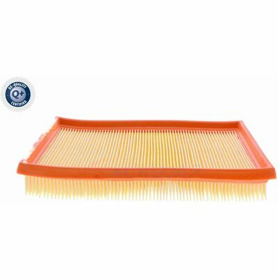 Q+, calidad de primer equipo