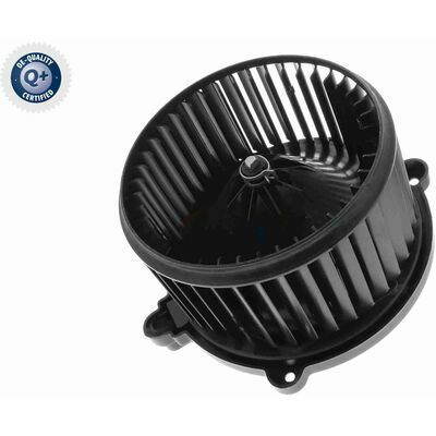 Q+,  Première Monte