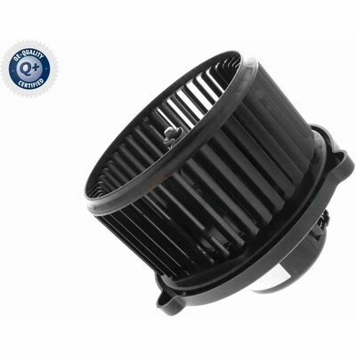 Q+,  Première Monte