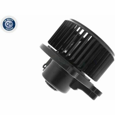 Q+,  Première Monte