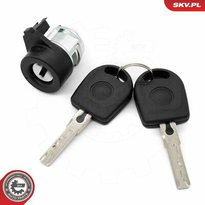 65SKV519