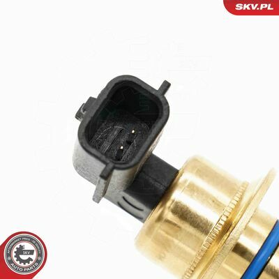 17SKV944
