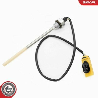 17SKV953