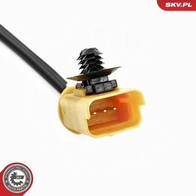 17SKV953