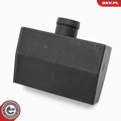 31SKV418