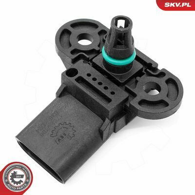 17SKV196