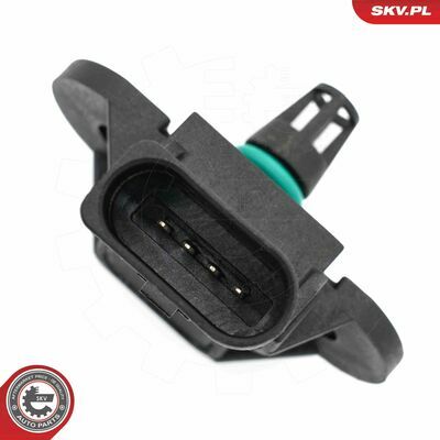 17SKV196