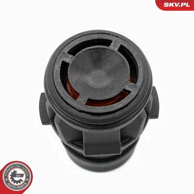 18SKV810