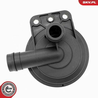 31SKV408