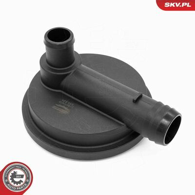 31SKV409