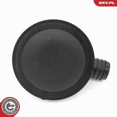 31SKV409