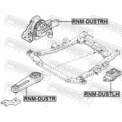 RNM-DUSTLH
