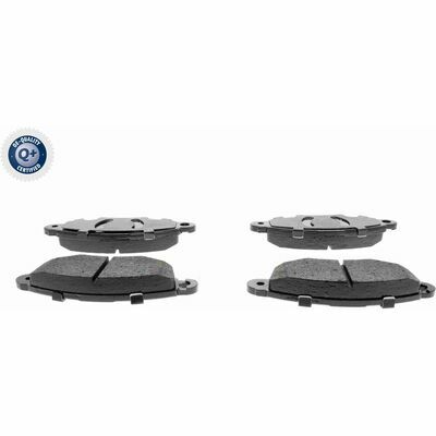 Q+,  Première Monte