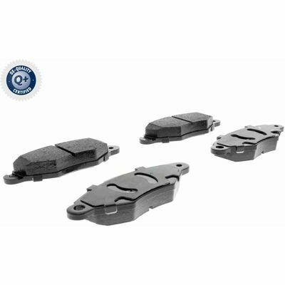 Q+,  Première Monte