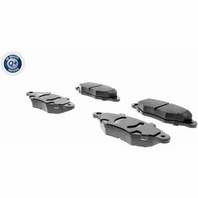 Q+,  Première Monte