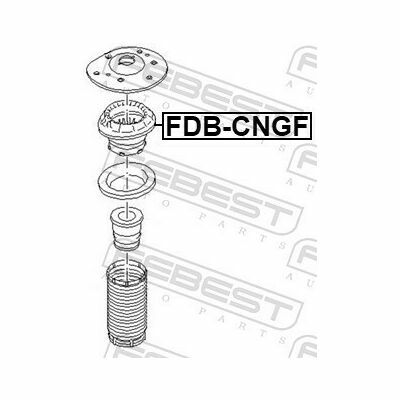 FDB-CNGF