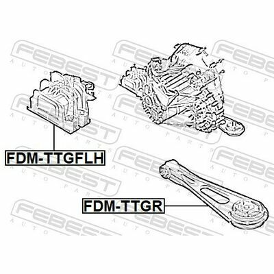 FDM-TTGR