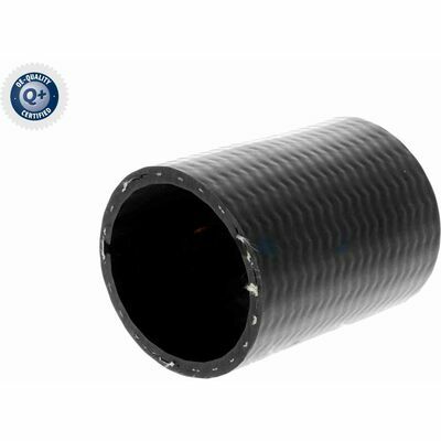 Q+,  Première Monte