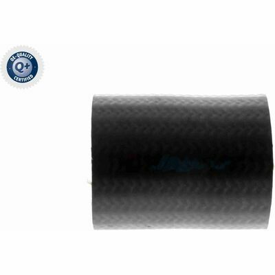 Q+,  Première Monte