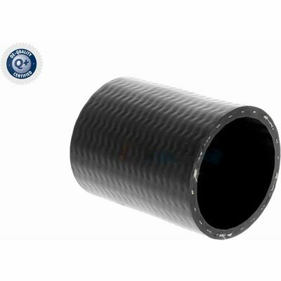 Q+,  Première Monte