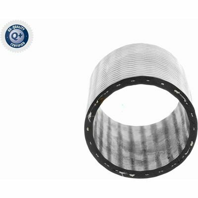 Q+,  Première Monte