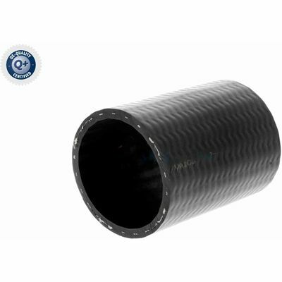 Q+,  Première Monte