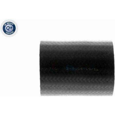 Q+,  Première Monte