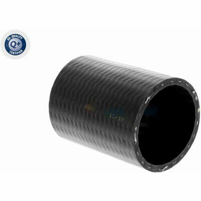 Q+,  Première Monte