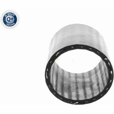 Q+,  Première Monte