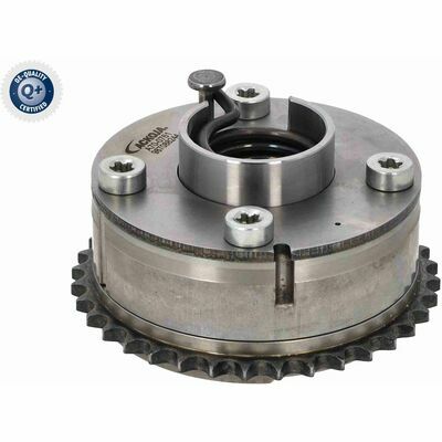 Q+,  Première Monte