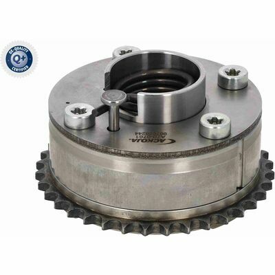 Q+,  Première Monte