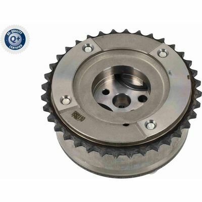 Q+,  Première Monte