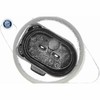 Q+, calidad de primer equipo