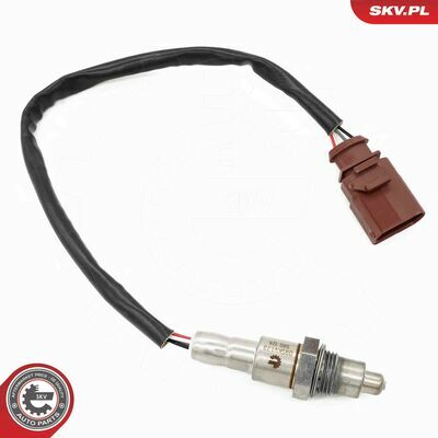 09SKV179