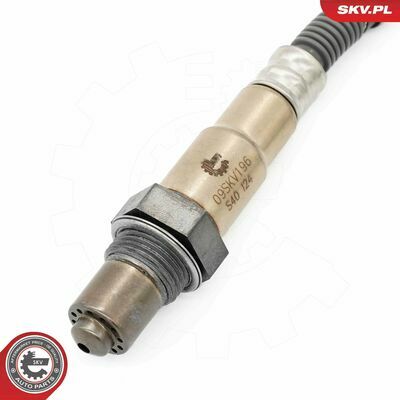 09SKV196