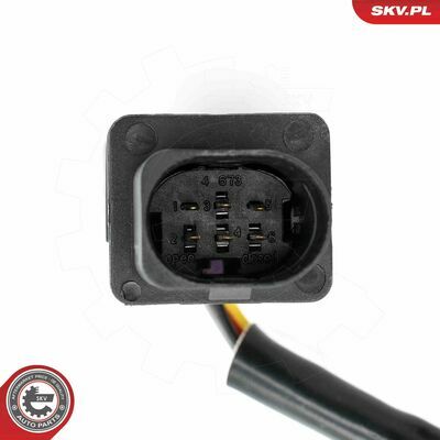 09SKV196