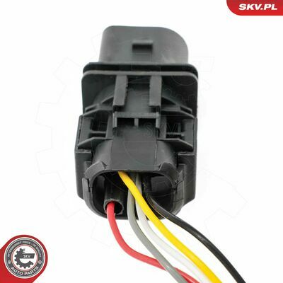 09SKV196