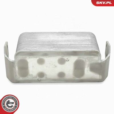 31SKV347