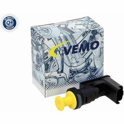 Q+,  Première Monte