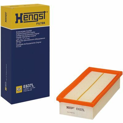 E637L