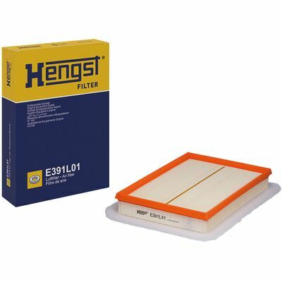 E391L01
