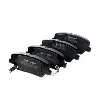 DP1010.10.0100