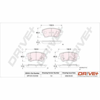 DP1010.10.0100