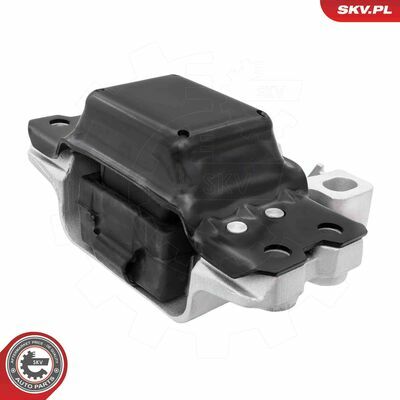 75SKV042