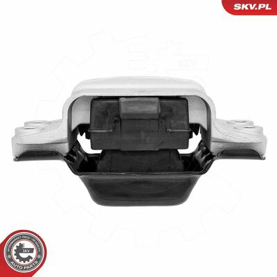 75SKV110