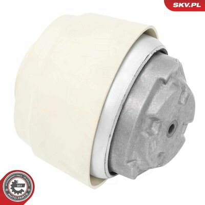 75SKV001