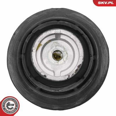 75SKV001