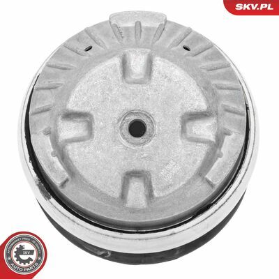 75SKV001