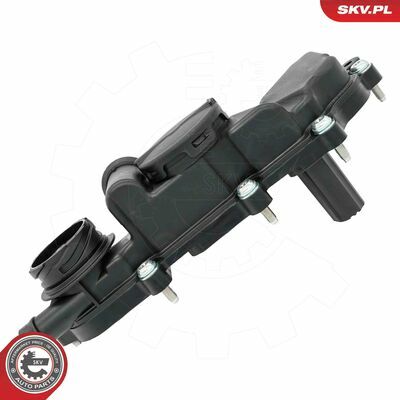 31SKV451